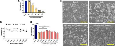 Neuroprotective effect of phospholipase A2 from Malaysian Naja sumatrana venom against H2O2-induced cell damage and apoptosis